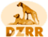 DZRR